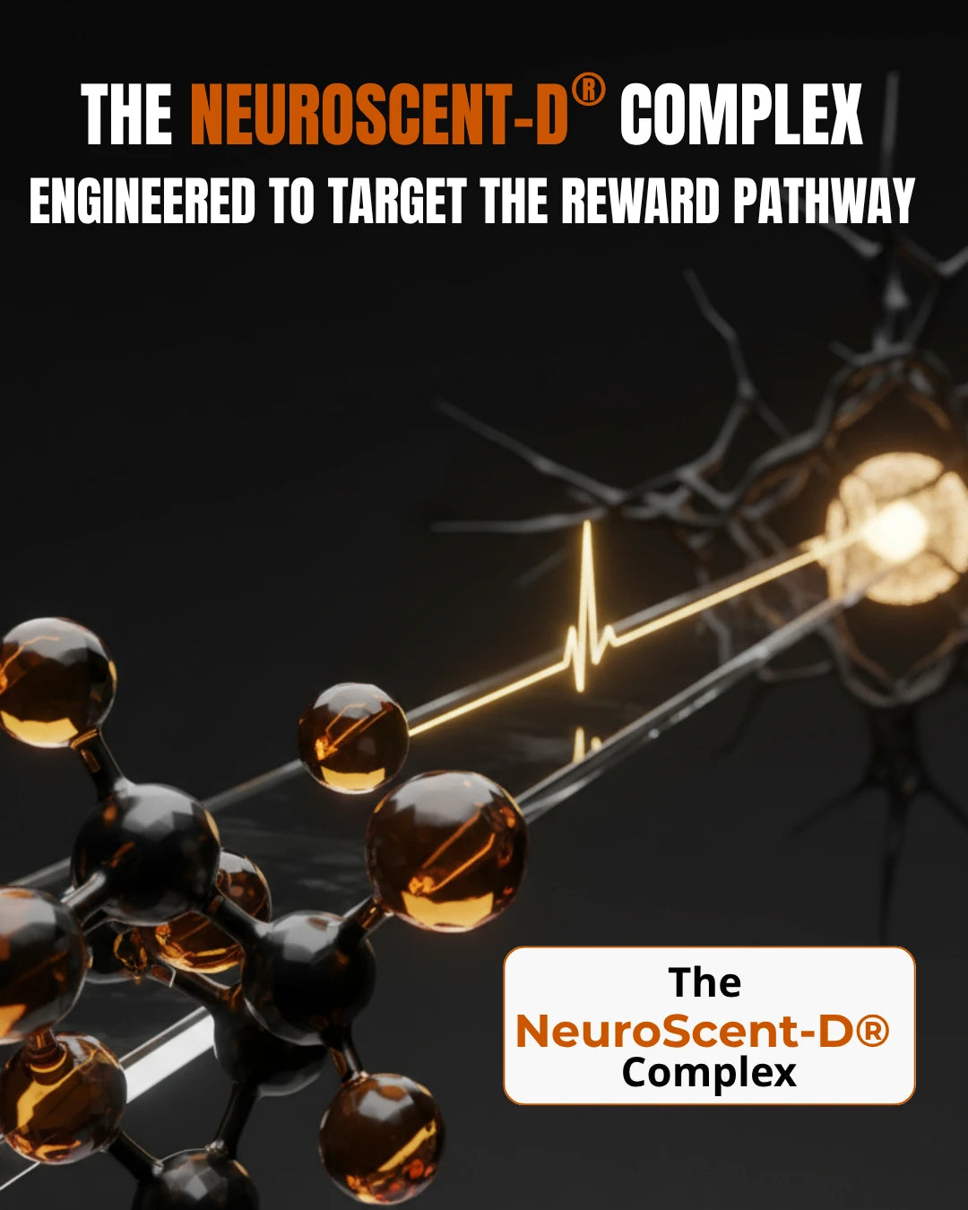 Pheromones Are Dead. We Combined a £150 Arabian 'Alpha' Formula With Modern Dopamine Science